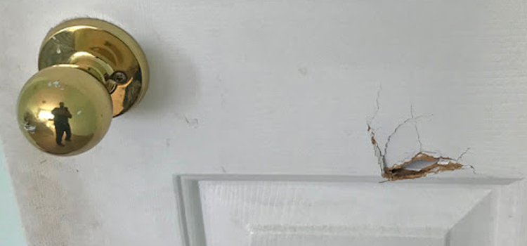 interior door hole repair Arcadia