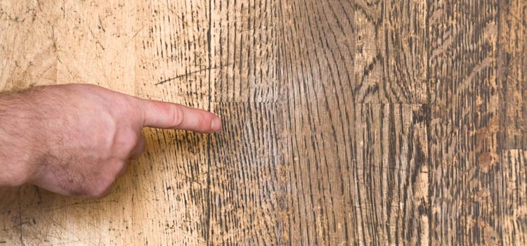 Wood Door Scratch Repair in Arcadia